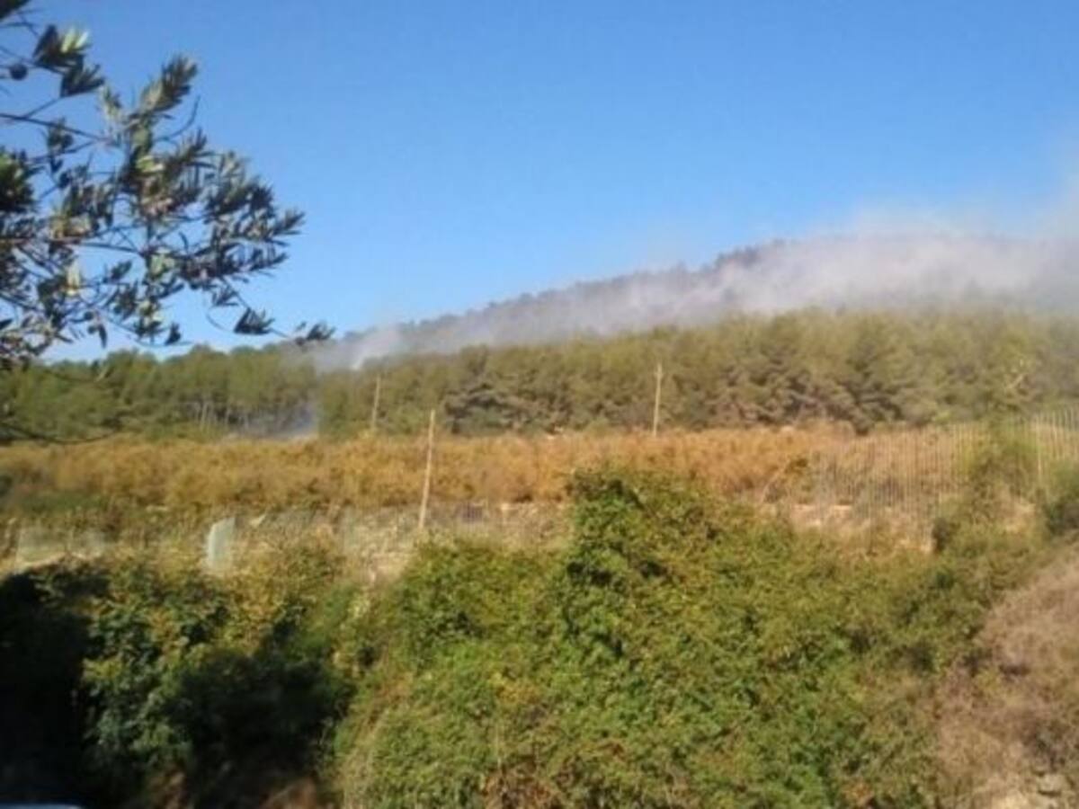 Estabilitzat l'incendi forestal a Alcover