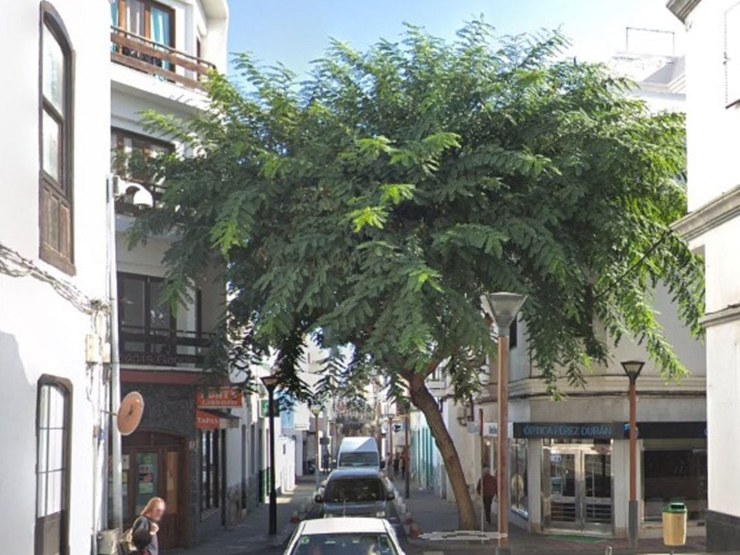 El árbol talado en Arrecife 