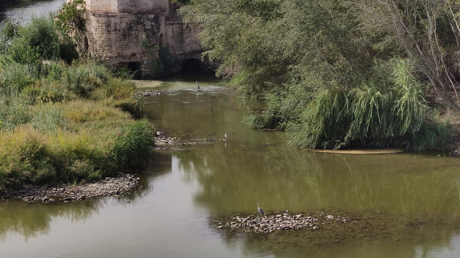 Río Guadalquivir a su paso por Córdoba