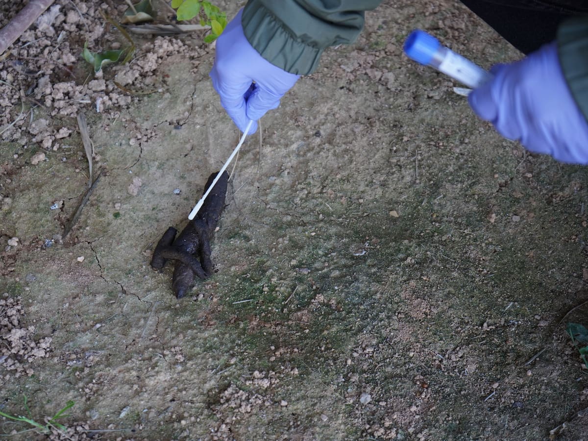 El dueño de un perro se enfrenta a 3.900 euros de sanción por no recoger los excrementos