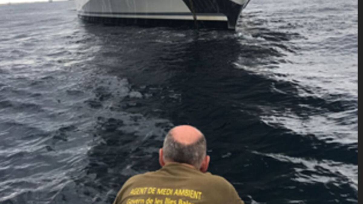 Detectan 769 barcos fondeados sobre posidonia en aguas pitiusas este verano