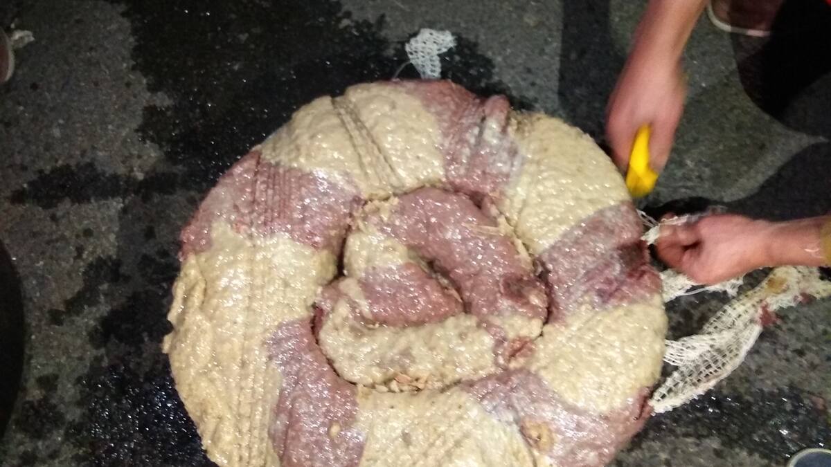 Benabarre saborea una coqueta con ‘corazón’