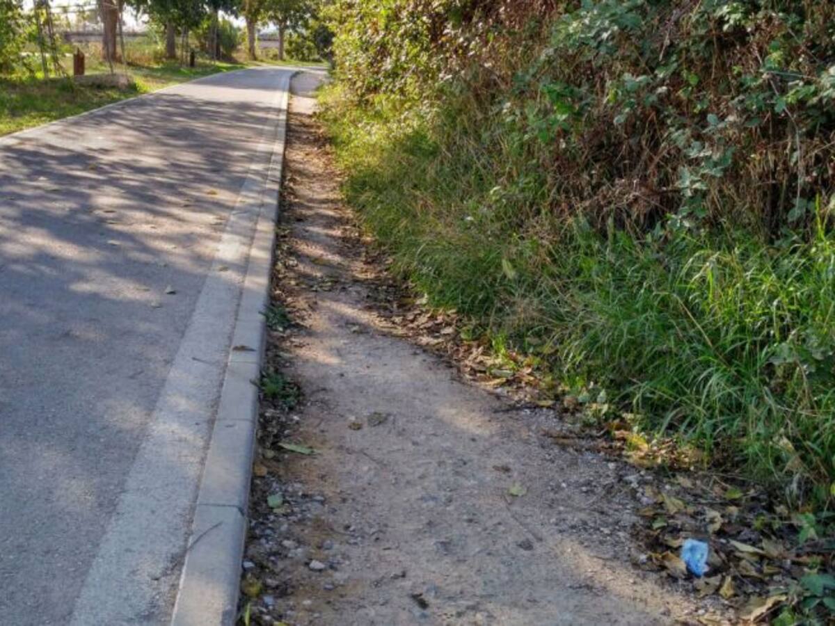 C´s denuncia el deterioro del carril para peatones en la Mota del río en Llano de Brujas