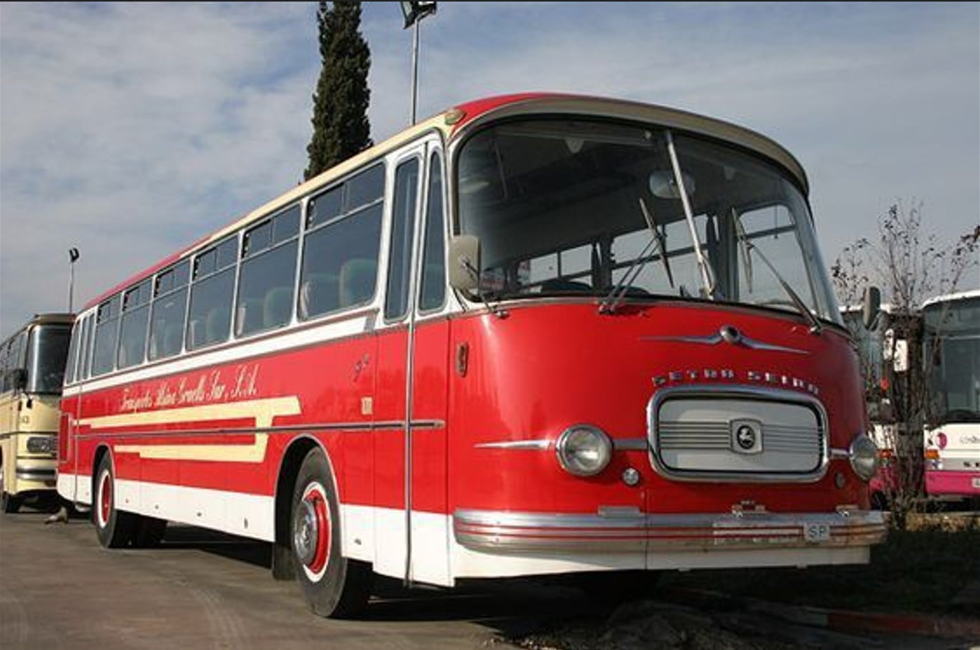 Aquellas alsinas de los años 70 son inolvidables.