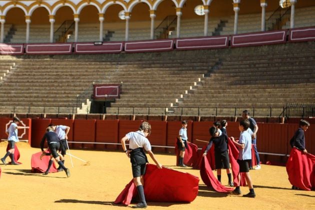 Niños toreando de salón sobre el albero de la Real Maestranza