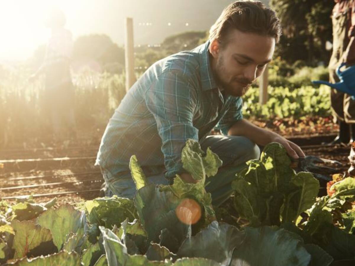 Experiencia y conocimiento al servicio de jóvenes agricultores