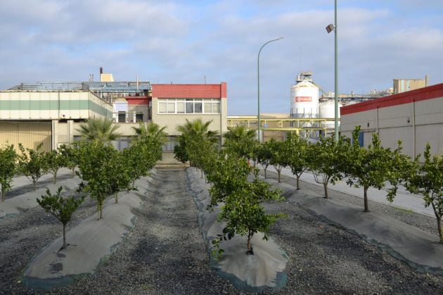 Instalaciones de la planta en Huelva