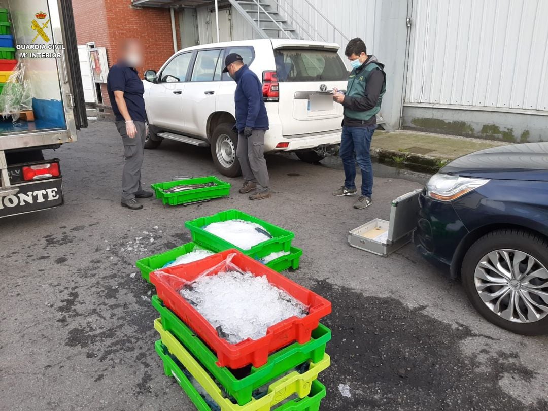 Merluza intervenida en los alrededores de la Rula de Avilés.