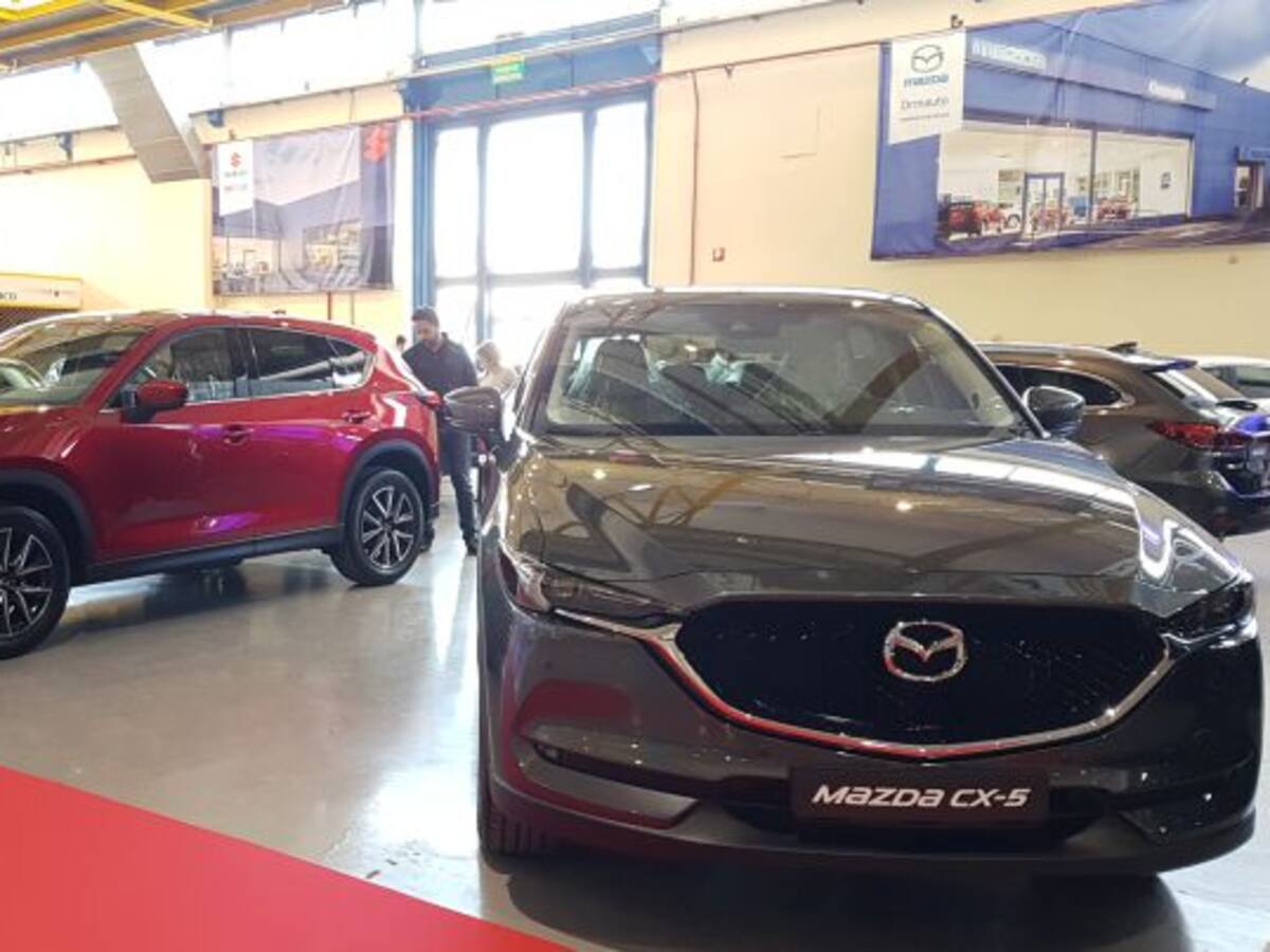 ¿Te vas a comprar un coche? Aquí tienes algunos de los modelos de Ferimotor