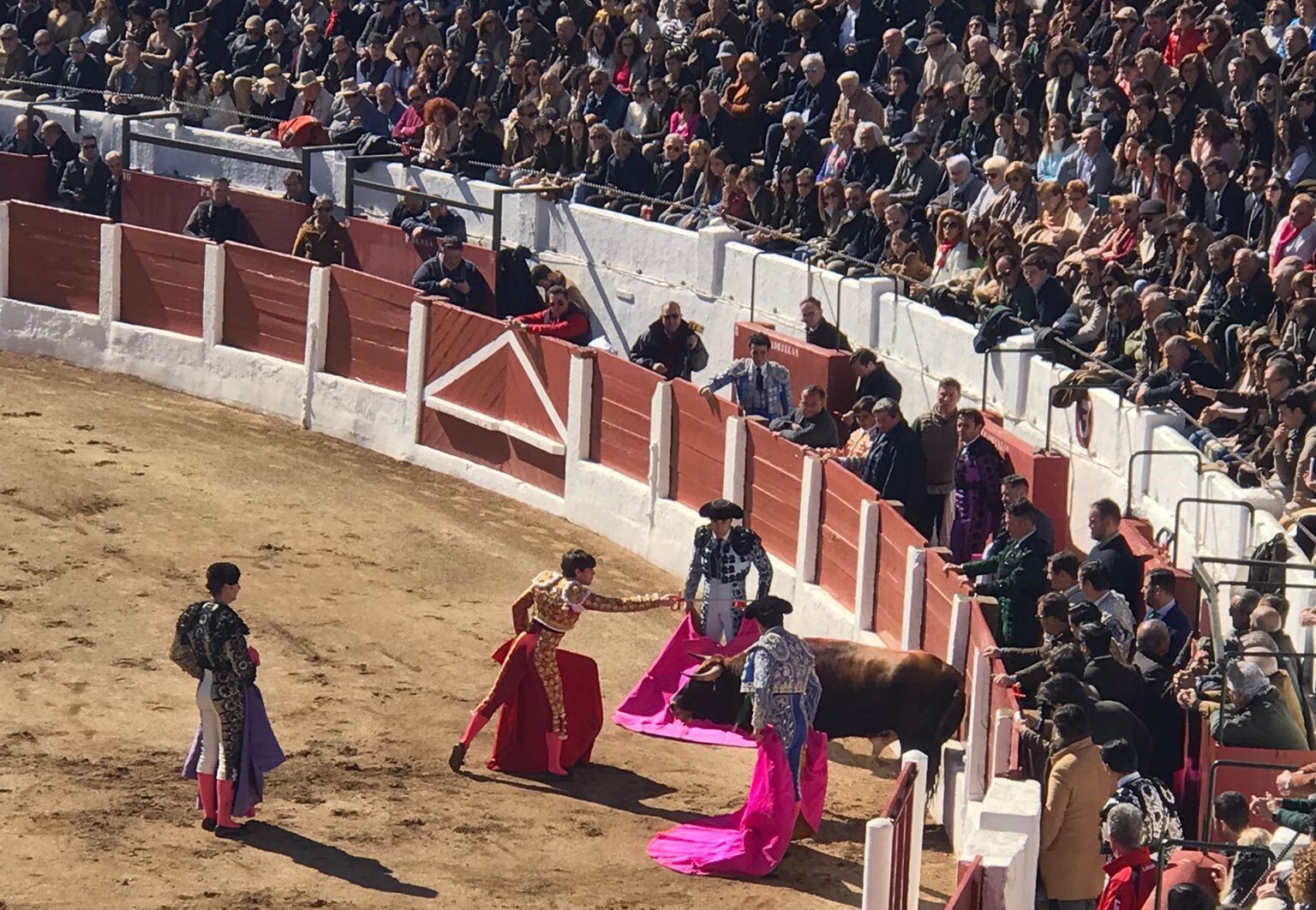 Novillada en Linares Día de Andalucía.