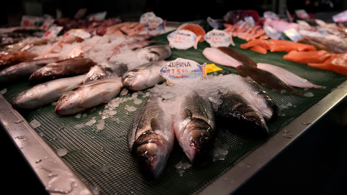Los pescadores de Baleares respiran con la extensión de los 143 días de faena para 2026