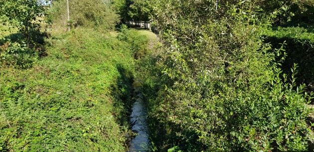 El Arroyo Tronquerías a la altura de Miravalles