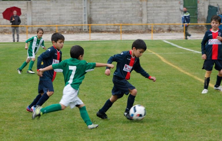 Jugador del Prebenjamín lesionado esta pasada jornada