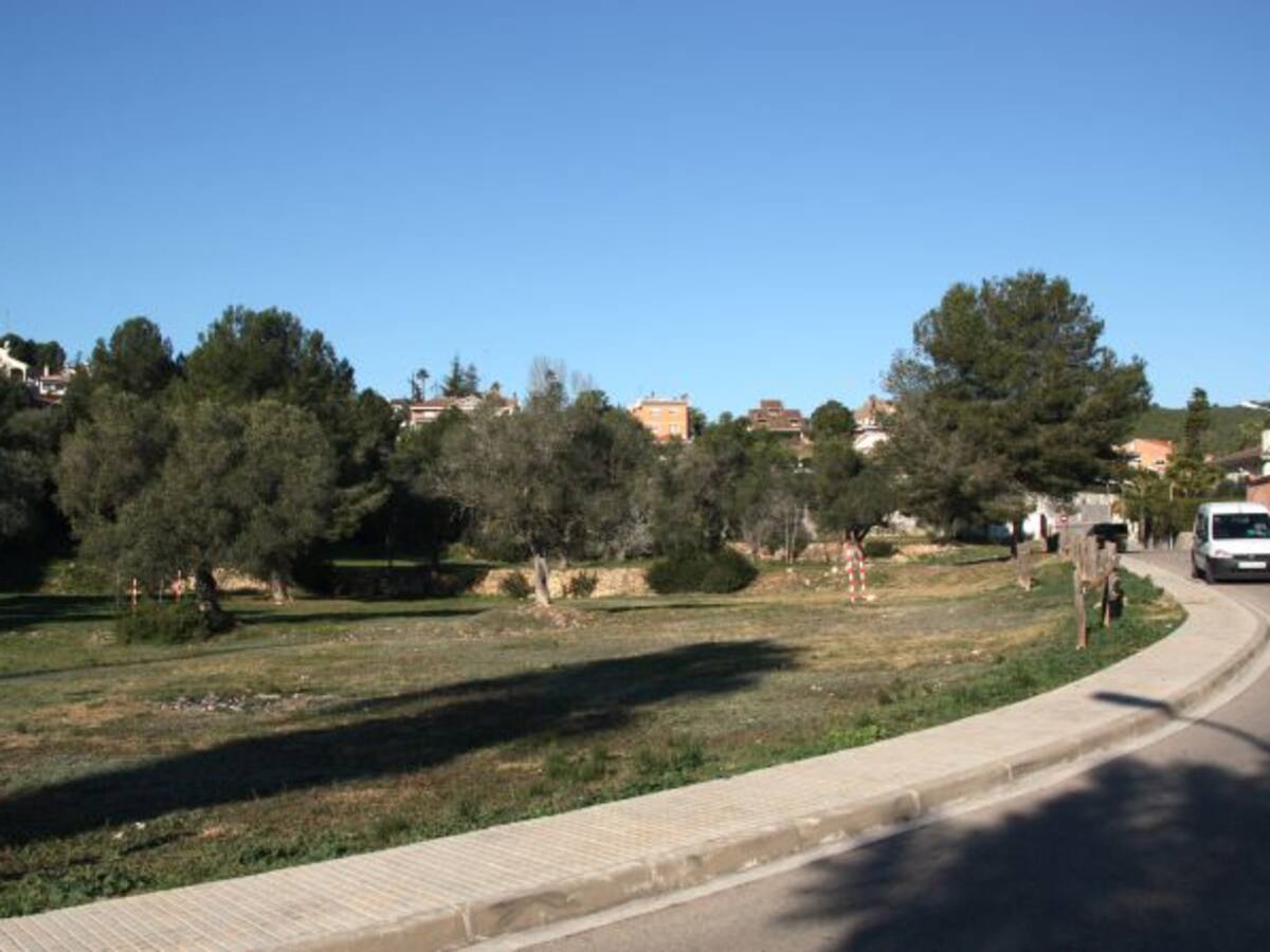 L'escola anglesa no s'instal·larà a Boscos