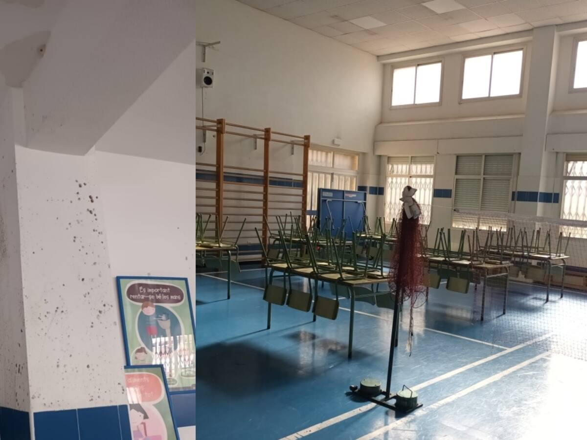 Cuatro meses sin comedor por humedades y moho: los padres de los alumnos del CEIP Mora Puchol de Alicante estallan
