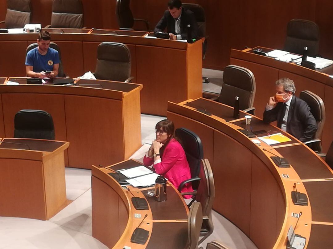 Sira Repollés comparece en las Cortes