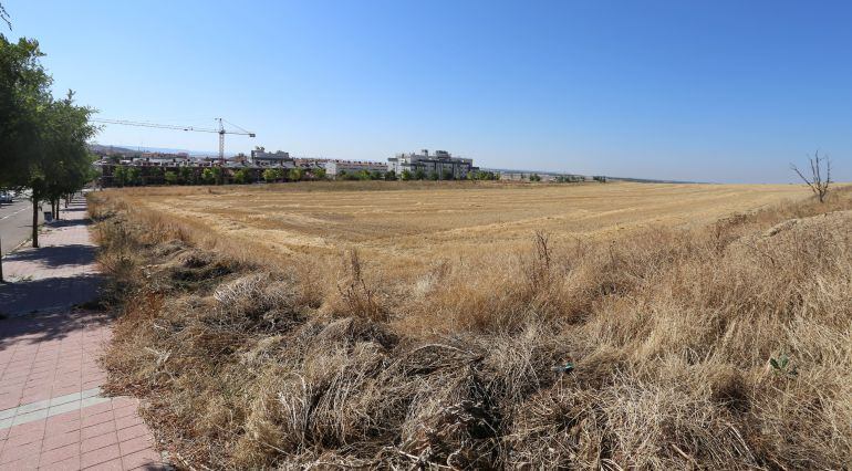 Parcela en la que está prevista la construcción del instituto