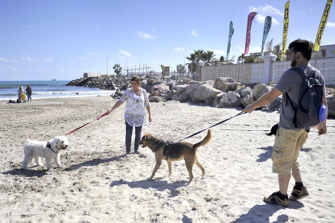 La zona dispone de duchas para los perros, bebedero, dispensador de bolsas para excrementos y papeleras