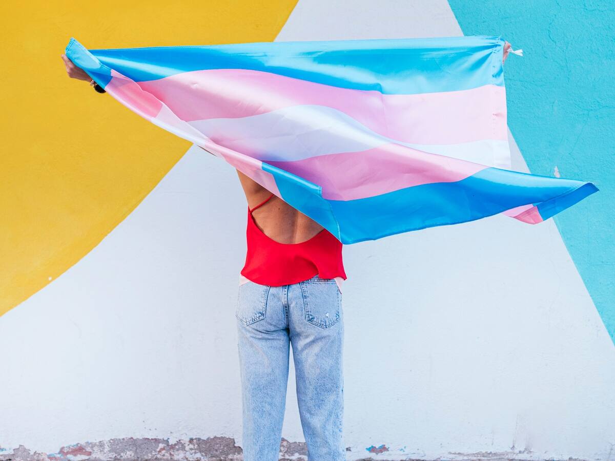 Las personas trans reivindican su sillón en la política