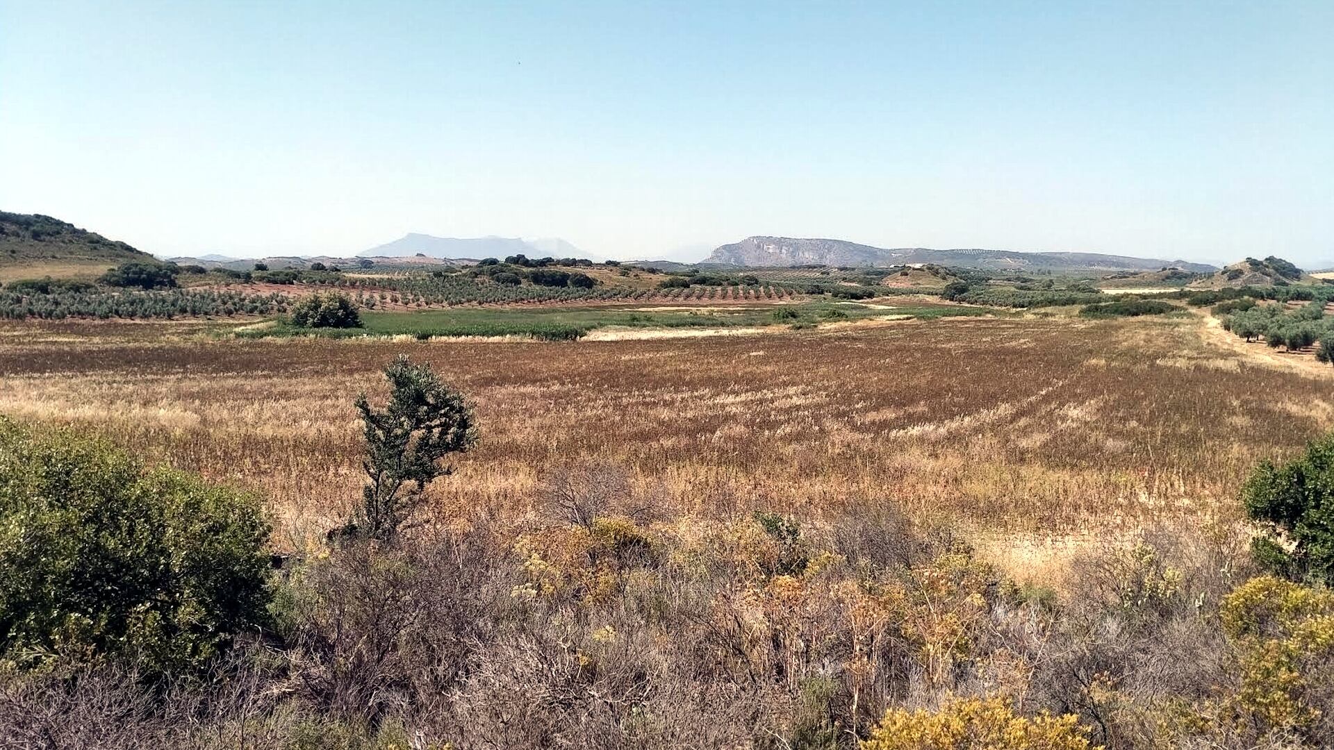 Laguna Camuñas (Campillos)