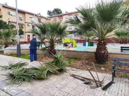 Los propios vecinos han realizado tareas de mantenimniento en zonas verdes.