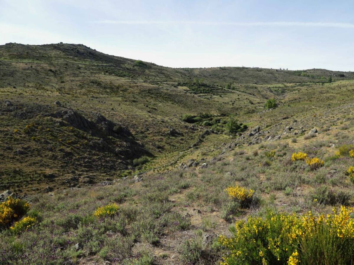 Se suspende la quema de rastrojos por el riesgo de incendios