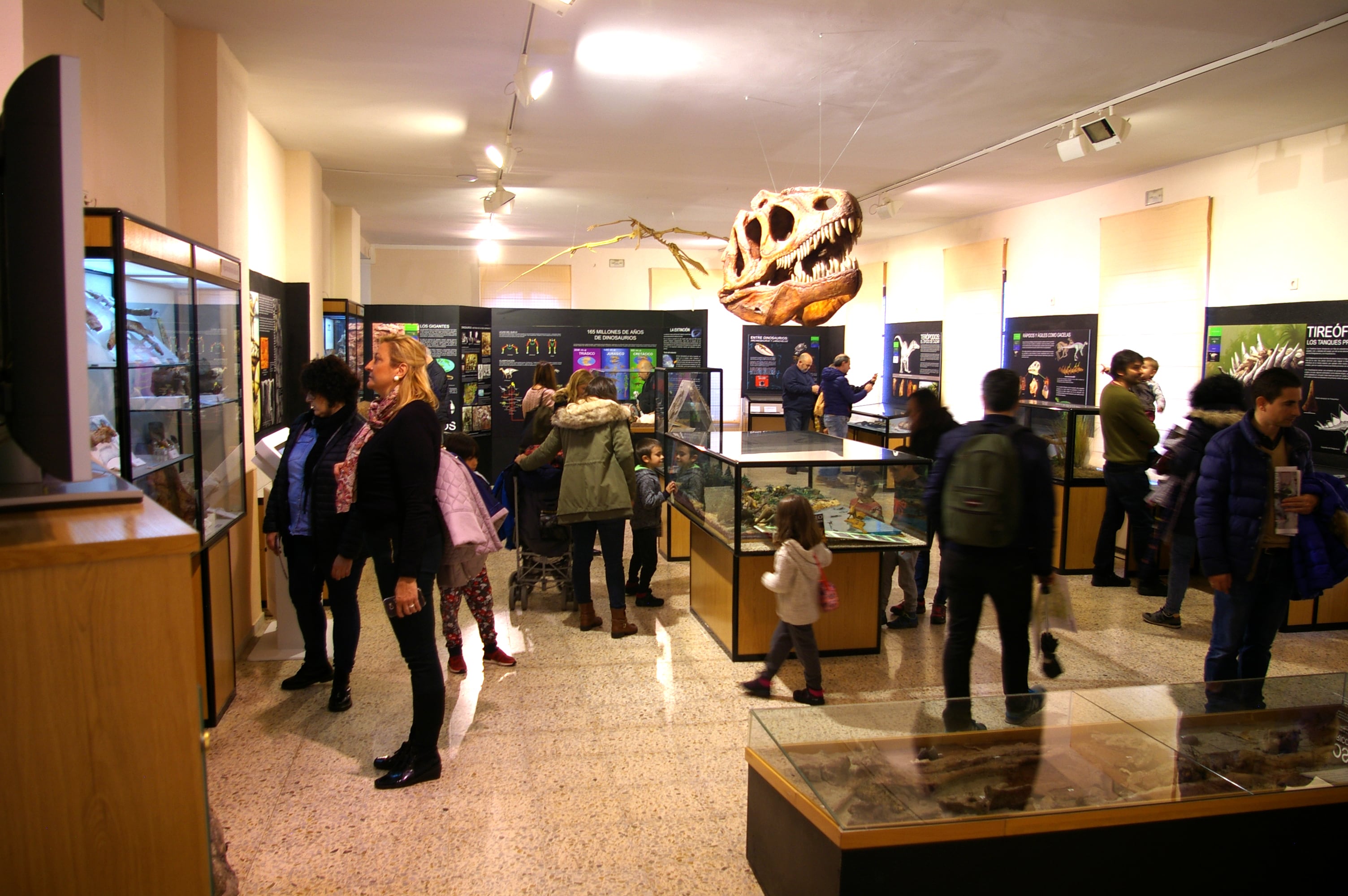 Museo de los Dinosaurios en Salas de los Infantes