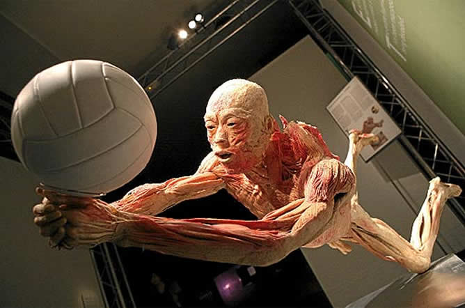 Tendrán que devolver el precio de la entrada a quienes demuestren que no hubieran ido a ver la exposición de Nueva York si hubieran sabido que existían dudas sobre el origen de los cuerpos