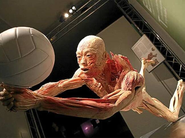 Tendrán que devolver el precio de la entrada a quienes demuestren que no hubieran ido a ver la exposición de Nueva York si hubieran sabido que existían dudas sobre el origen de los cuerpos