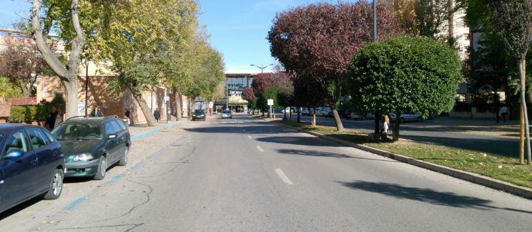Avenida de la Estación