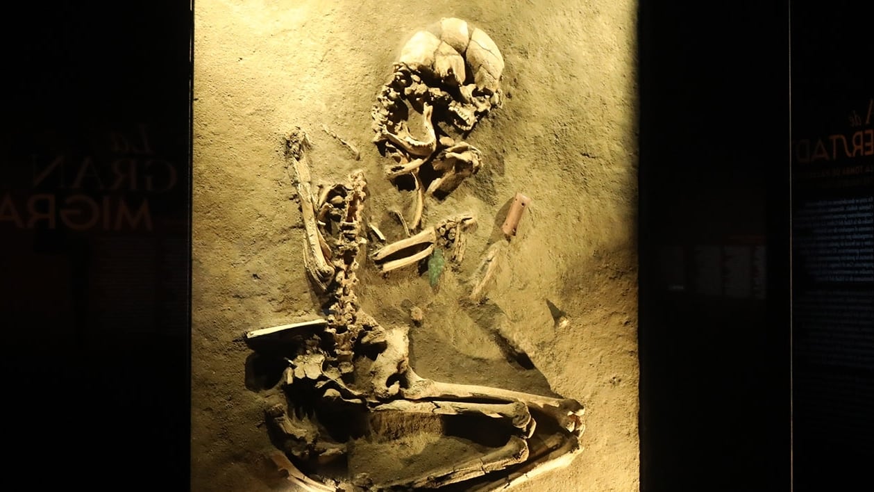 Esta ambiciosa propuesta cultural podrá visitarse hasta el 13 de octubre.