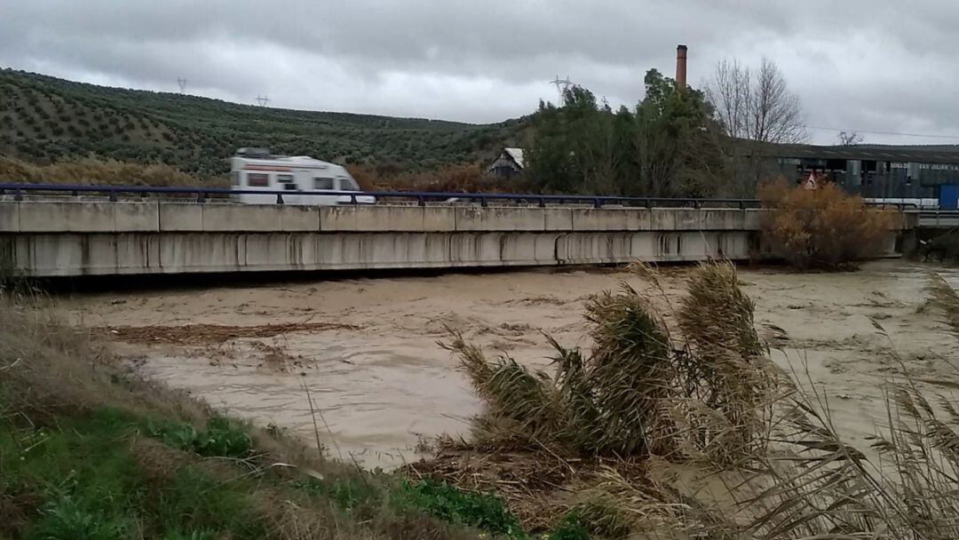 Arroyo Salado a su paso por el polígono industrial de Marmolejo.