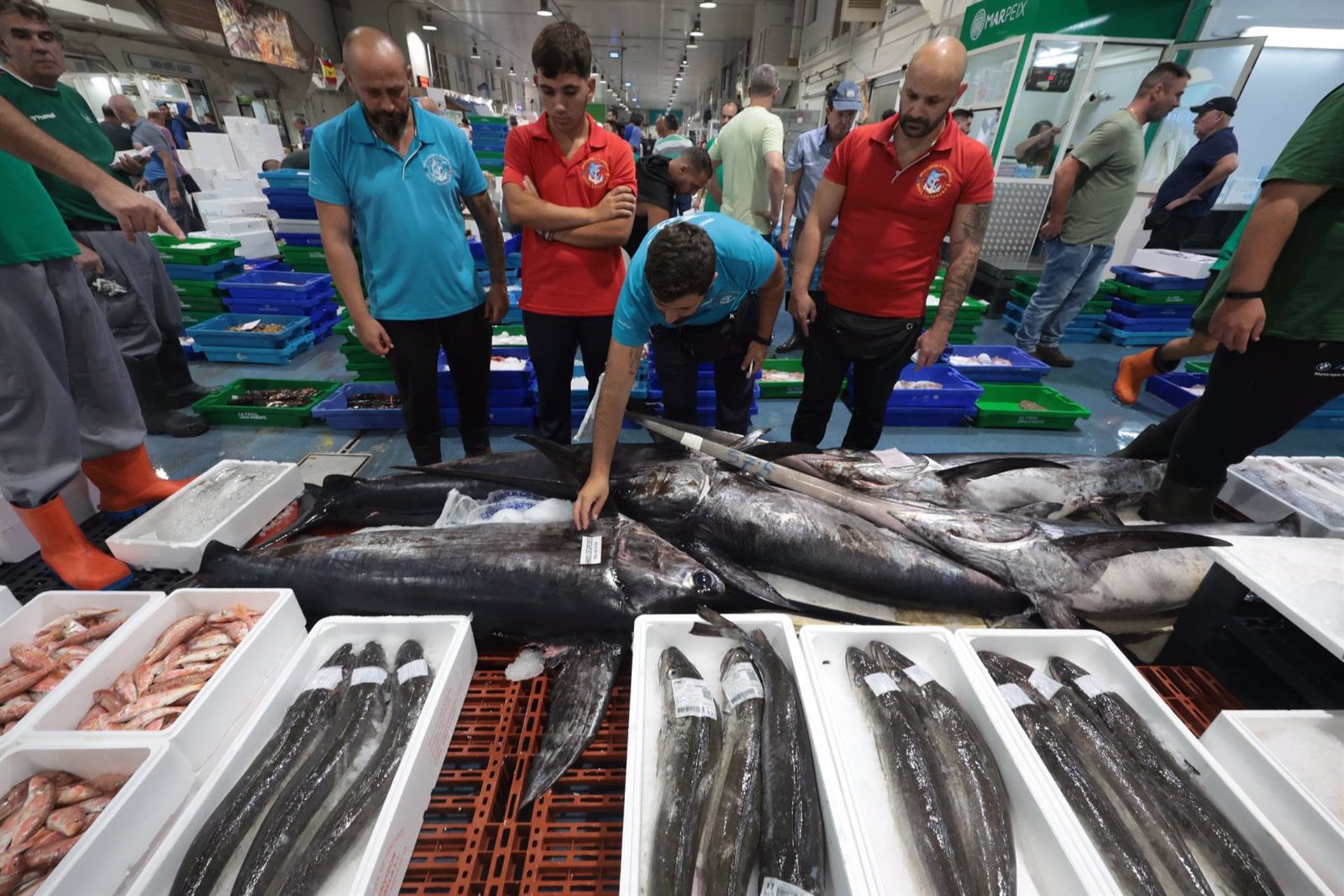 Mercado de pescado / Mercamálaga