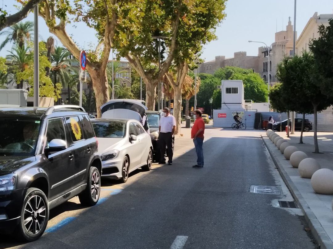 Registros practicados durante este viernes en la sede en Palma.