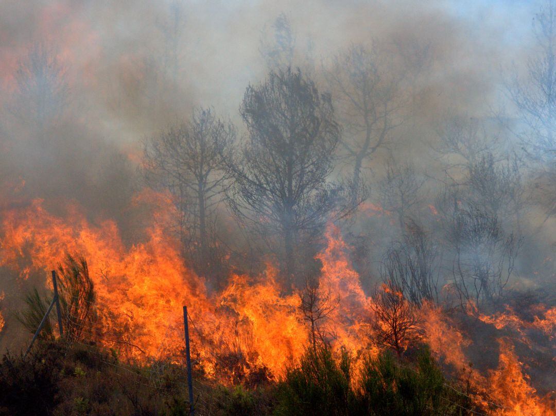 La Junta adjudica un servicio de retén de maquinaria de prevención de incendios por más de 72.000 euros