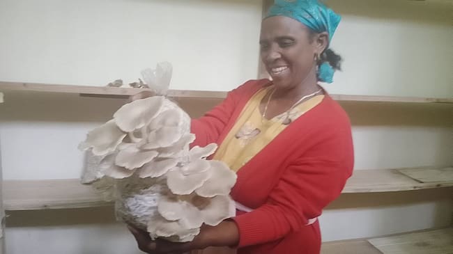 Satisfacción en una mujer etíope cultivadora de setas comestibles en la localidad de Wondo Genet