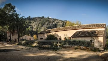 Las medidas adoptadas en la Cova Negra