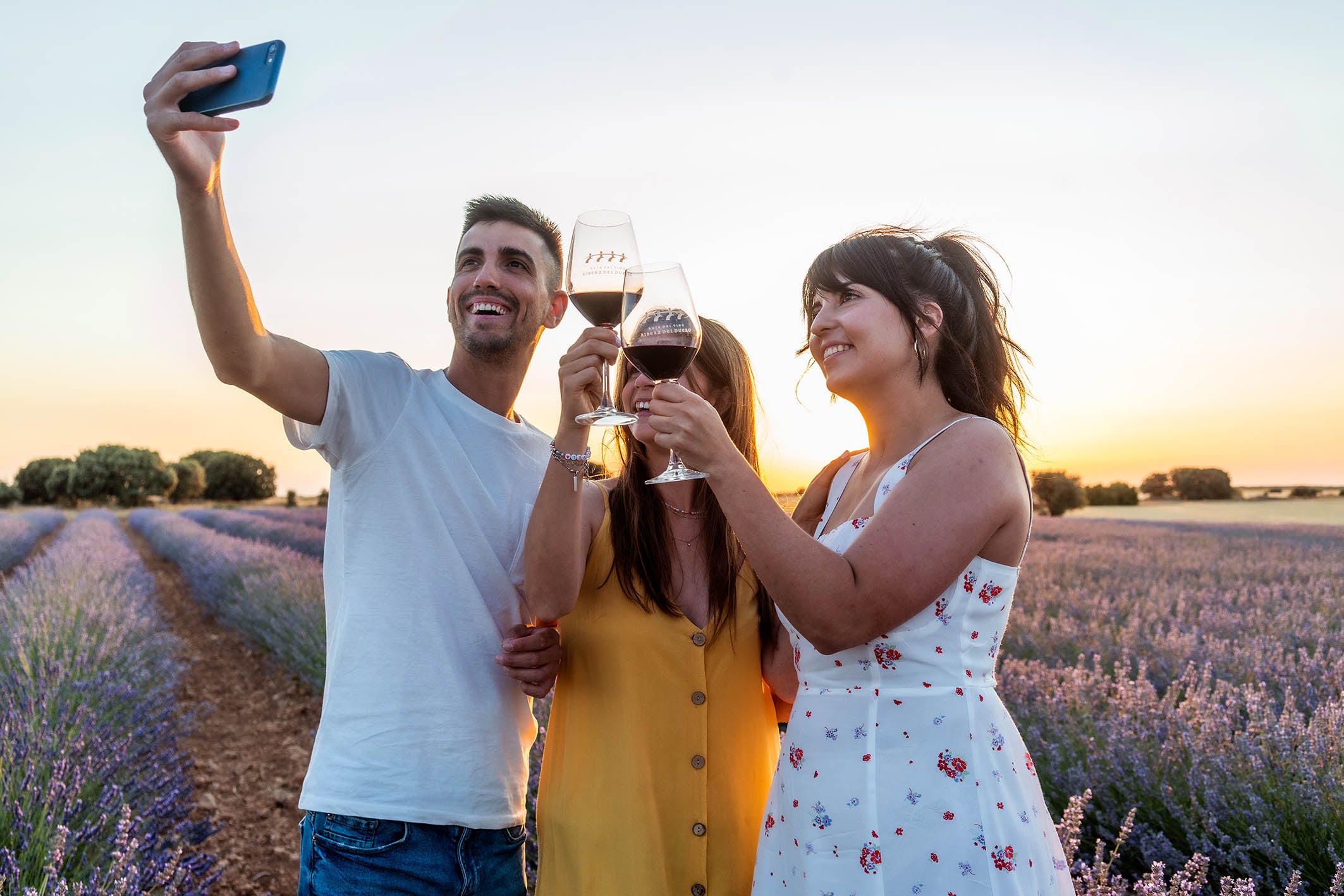 Ruta del Vino Ribera de Duero