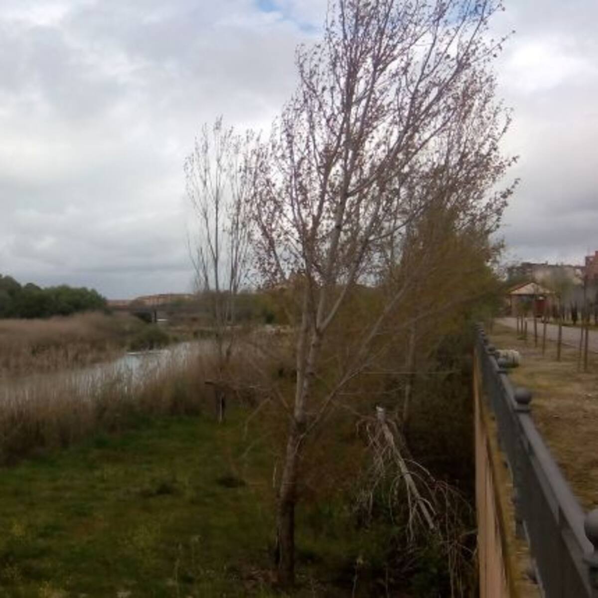 Todos contrarios al nuevo trasvase esperan una reacción del Gobierno Central