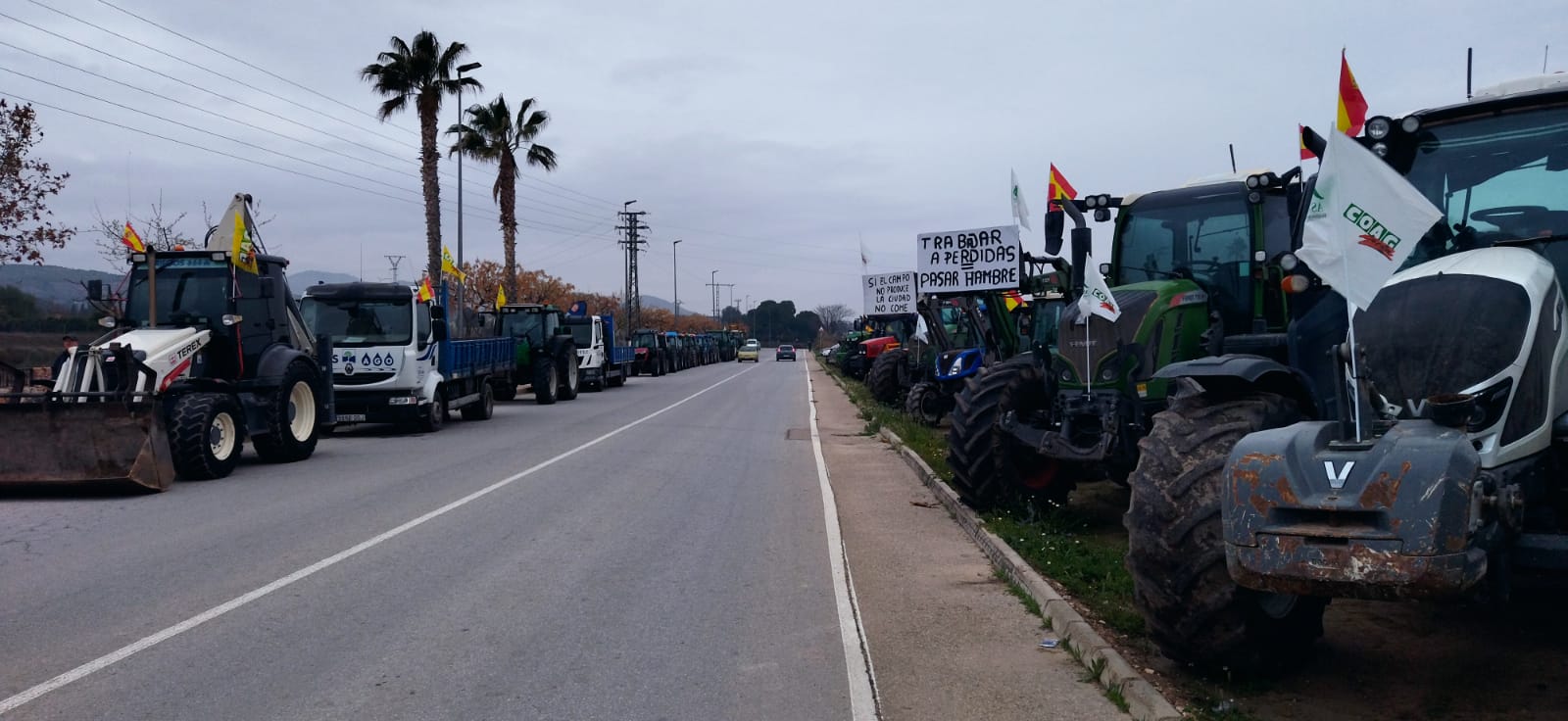 Los tractores preparados para iniciar la marcha en Jumilla