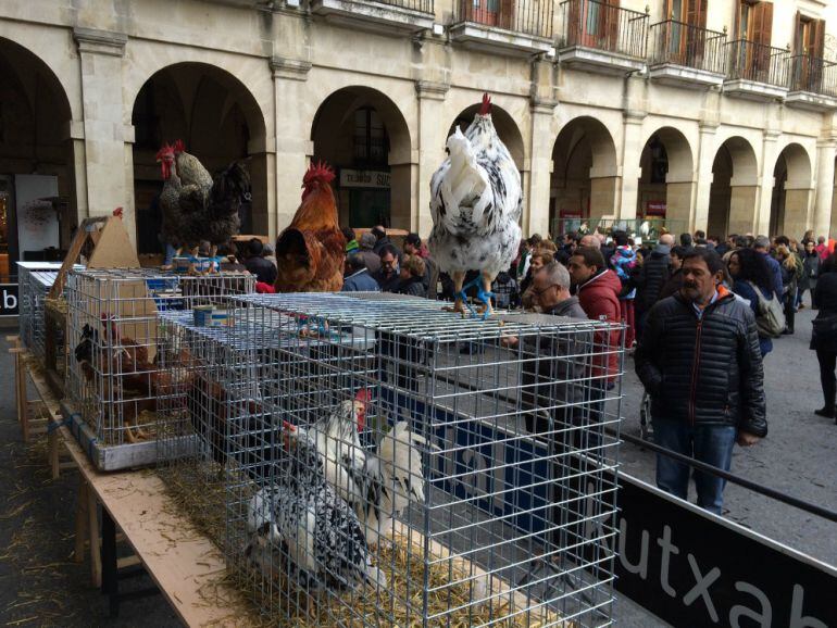 Capones y gallinas son tradición en el mercado