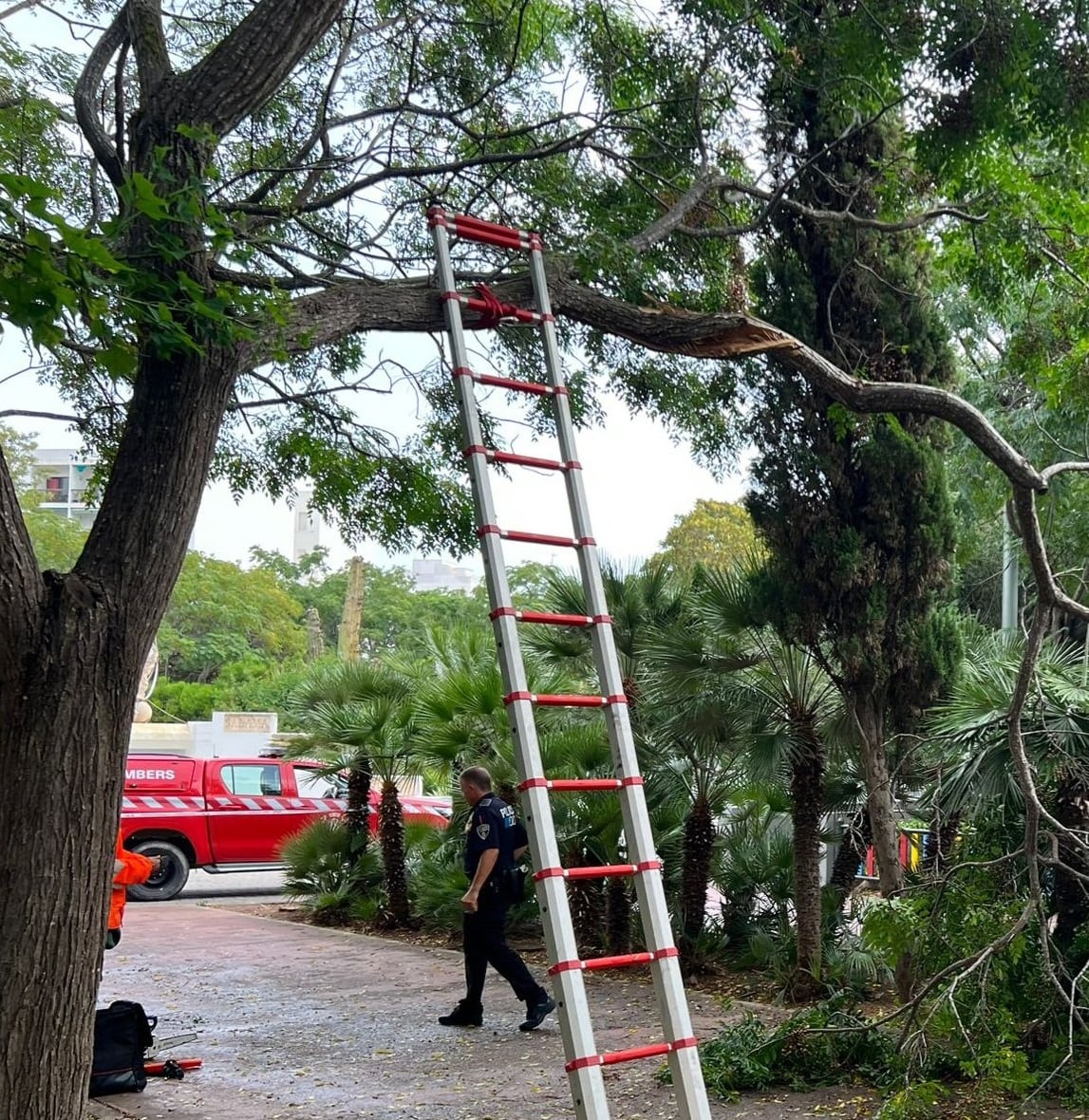 Hay previsión de rachas de viento de hasta 70 kilometros por hora en Ibiza