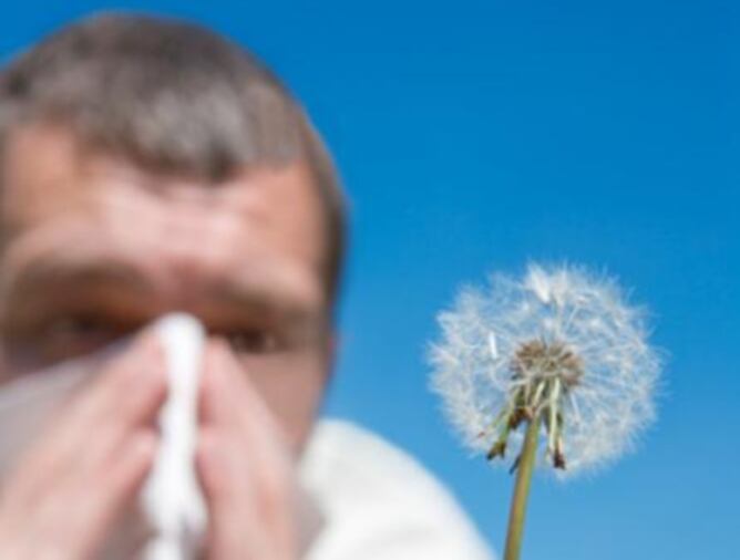 Mala època per les alèrgies