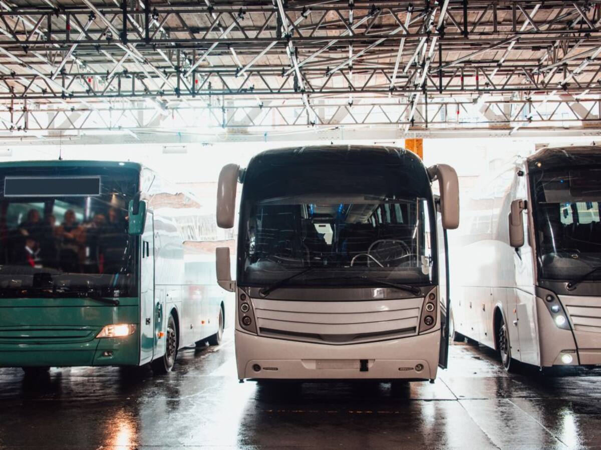 Las líneas de transporte en la provincia registran 63.788 viajeros