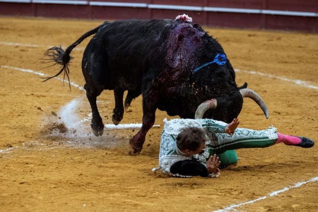 El toro de Vegahermosa buscó con saña al banderillero sevillano