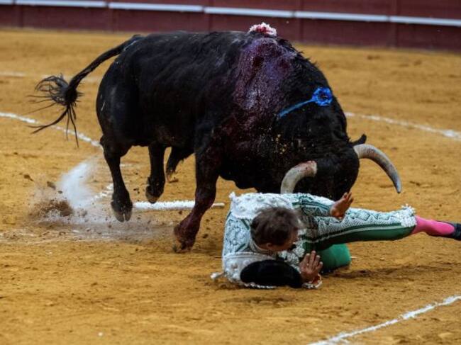 El toro de Vegahermosa buscó con saña al banderillero sevillano