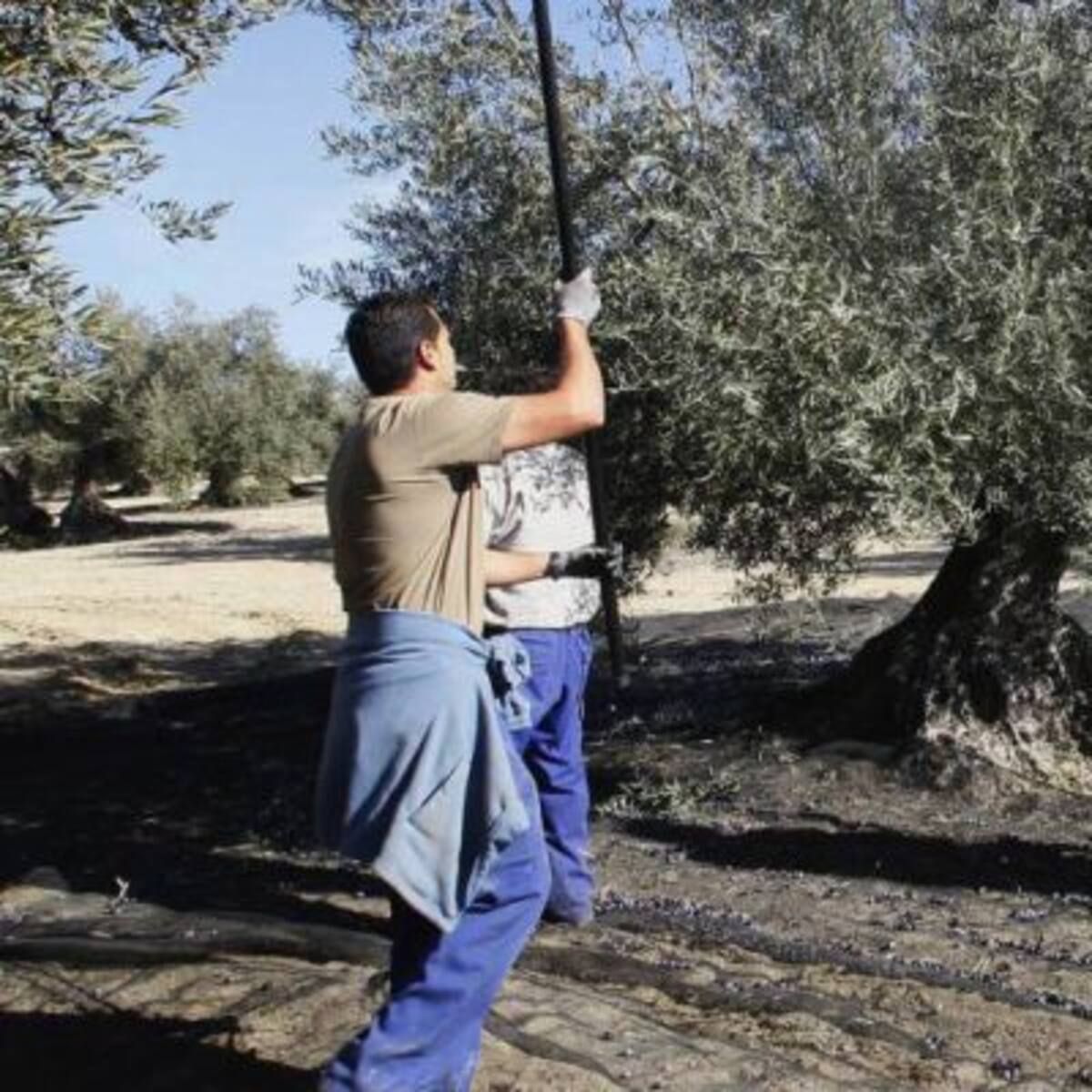 Sube el paro en Granada y aumenta la brecha con Andalucía