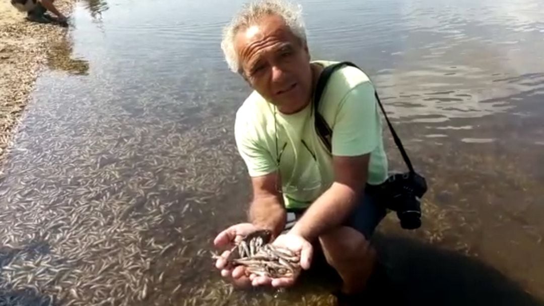 Pedro García, presidente de ANSE, muestra los peces muertos en Puerto Bello, en el Mar Menor. Archivo