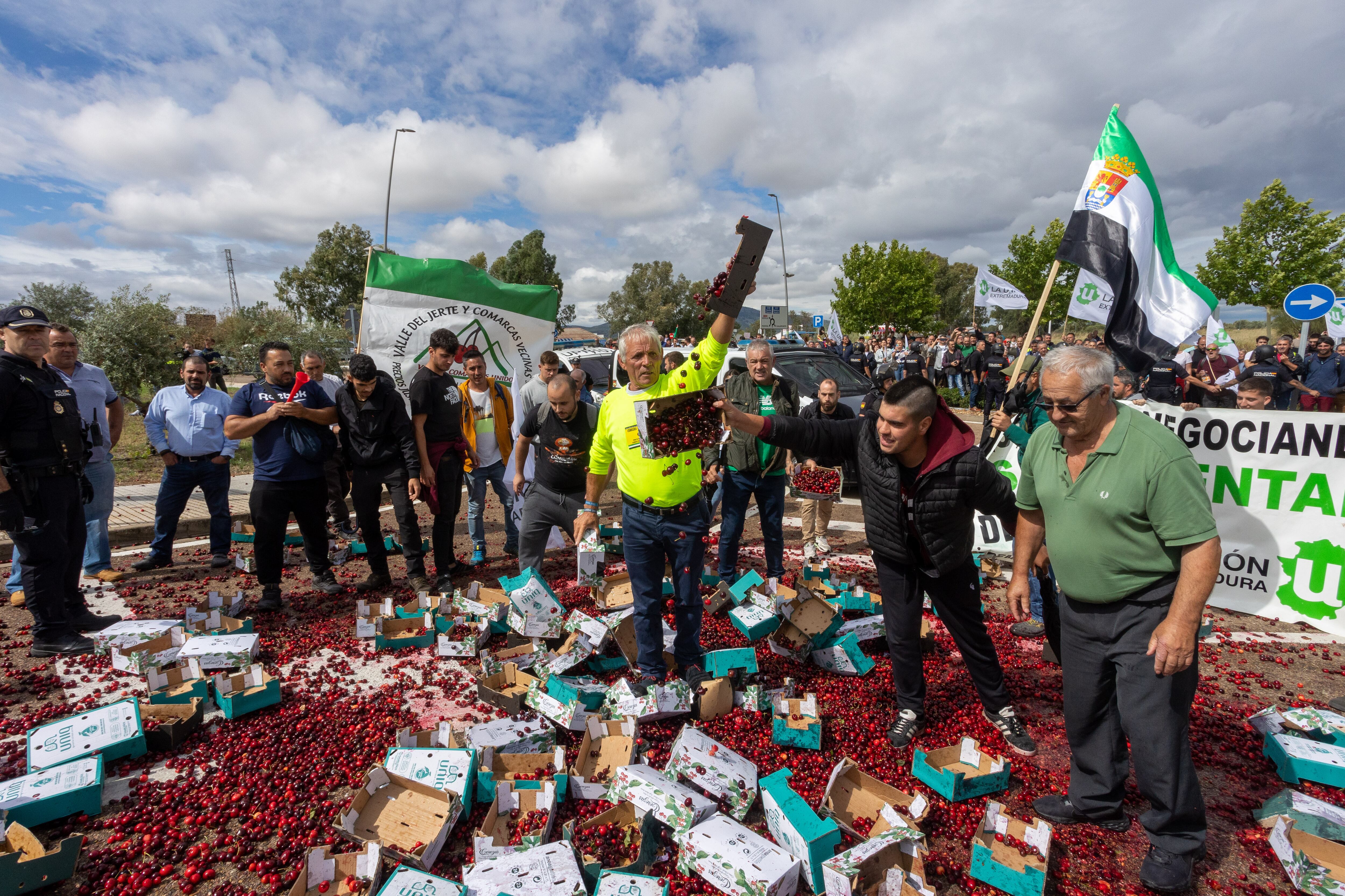 -FOTODELDIA- MÉRIDA, 08/06/2023.- Productores de cereza derraman 500 kilos de cerezas mientras se concentran este jueves ante la Consejería de Agricultura en Mérida en protesta por las condiciones y las coberturas del seguro de este producto y la &quot;política de sumisión&quot; de la Junta de Extremadura a los intereses de Agroseguro. EFE/ Jero Morales
