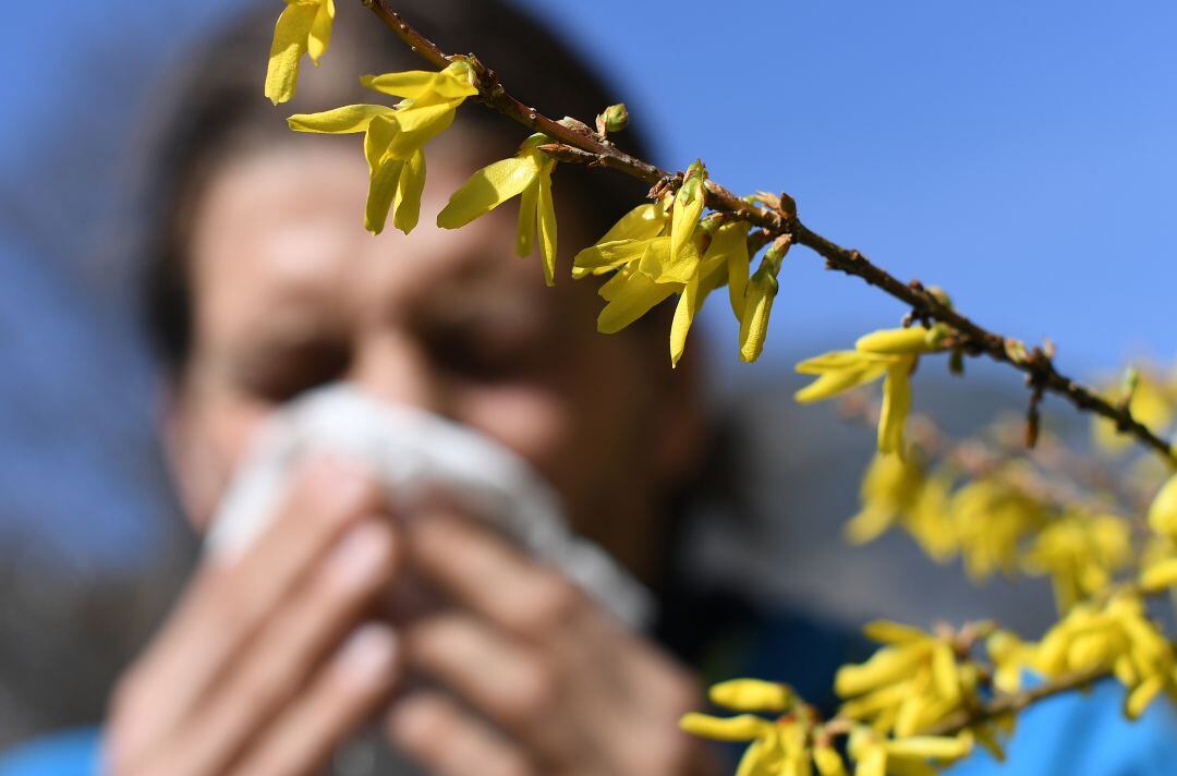 La alergia ha llegado fuerte este año y, de continuar la falta de lluvias, se puede alargar su duración